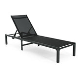 Deburoe Outdoor Adjustable Chaise Lounge(Set of 2)