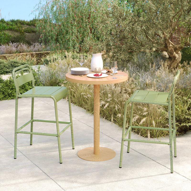 Elowen Outdoor Patio Bar Stools, Iron, Set of 2