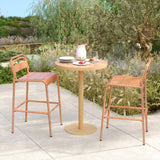 Elowen Outdoor Patio Bar Stools, Iron, Set of 2