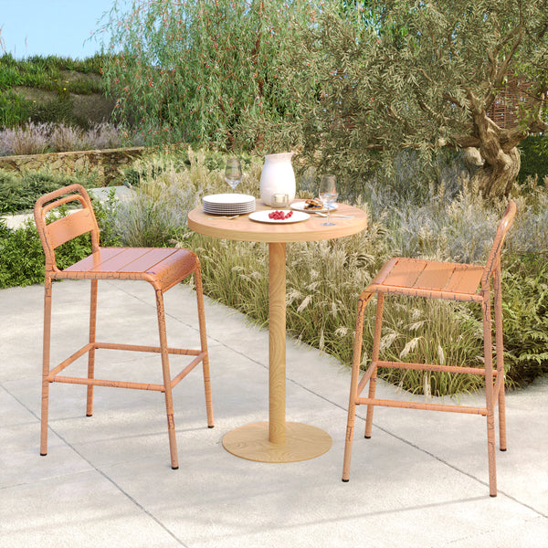 Elowen Outdoor Patio Bar Stools, Iron, Set of 2