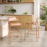 Elowen Outdoor Patio Bar Stools, Iron, Set of 2