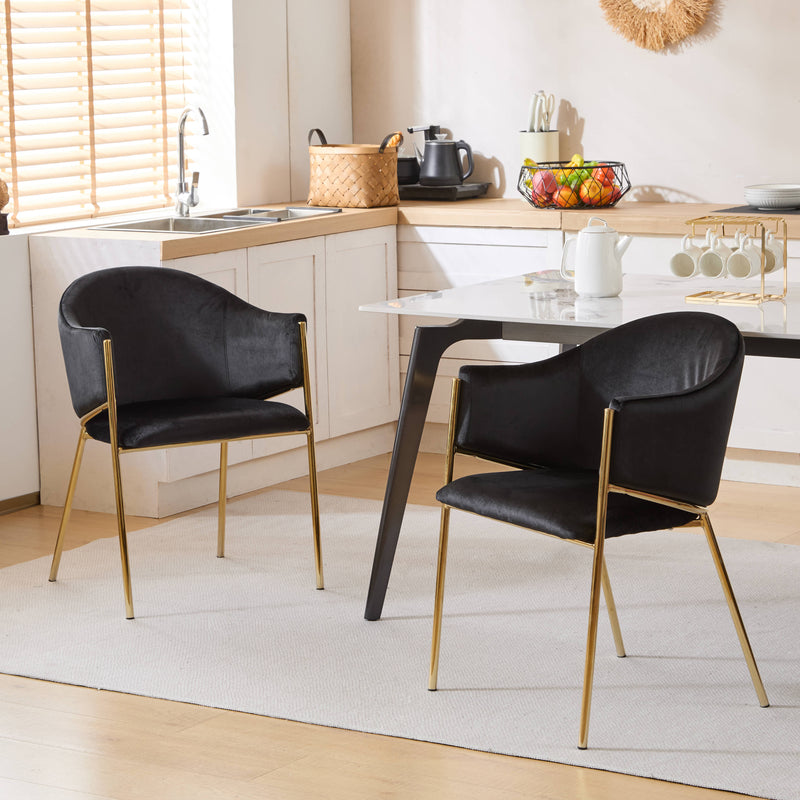 Velvet Dining Chairs with Gold Metal Frame, Set of 2