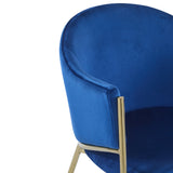 Velvet Dining Chairs with Gold Metal Frame, Set of 2