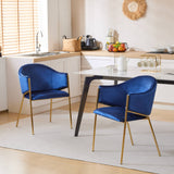 Velvet Dining Chairs with Gold Metal Frame, Set of 2
