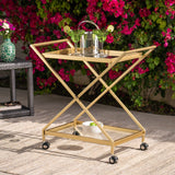 Outdoor Powder Coated Iron and Glass Bar Cart, Gold - NH364403