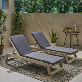 Outdoor Acacia Wood Chaise Lounge and Cushion Sets (Set of 2) - NH308903