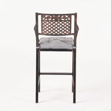 Outdoor Barstool with Cushion (Set of 2) - NH131013