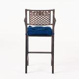Outdoor Barstool with Cushion (Set of 2) - NH131013