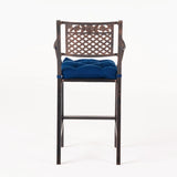 Vista Outdoor Barstool with Cushion (Set of 2)