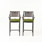 Vista Outdoor Barstool with Cushion (Set of 2)