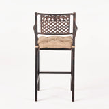 Vista Outdoor Barstool with Cushion (Set of 2)