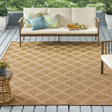 Indoor/Outdoor Area Rug - NH550513