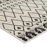 Indoor/Outdoor Area Rug - NH980513