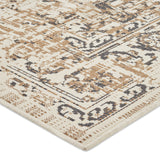 Indoor/Outdoor Area Rug - NH860513