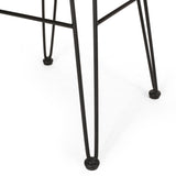 Cowen Outdoor Wicker Dining Chairs with Cushion, Set of 2, Light Brown, Black, and Beige