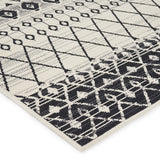 Indoor/Outdoor Area Rug - NH980513