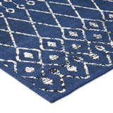 Indoor/Outdoor Area Rug - NH980513