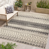 Indoor/Outdoor Area Rug - NH980513